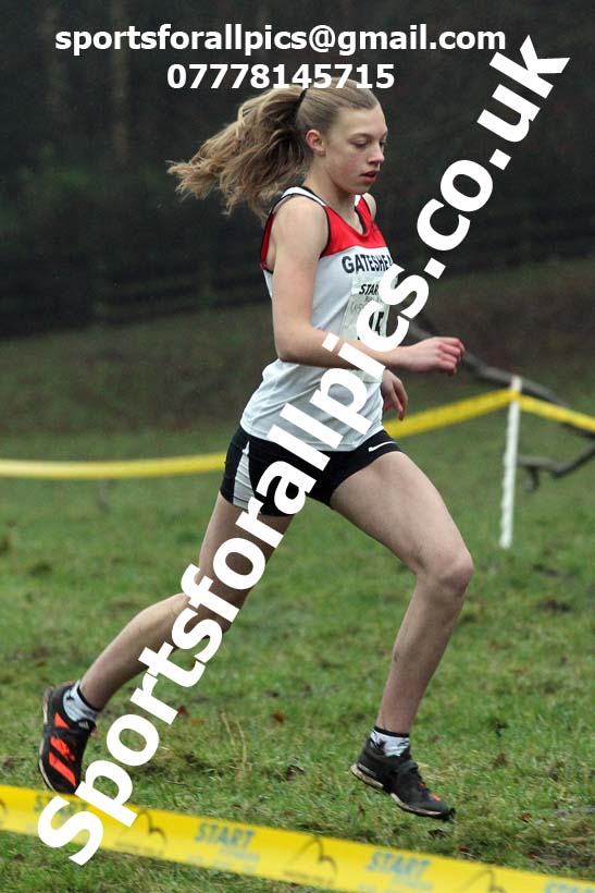 Girls under-15s, NECAA Junior Cross Country Relays, Thornley Farm, Peterlee, Saturday, December 12th. Photo: David T. Hewitson/Sports for All Pics
